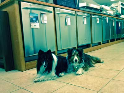 dishwasher shopping
