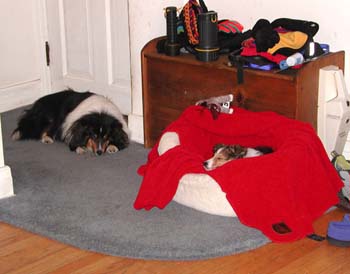 cooper_bed_skye