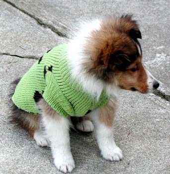 cooper_coat2