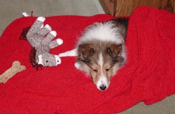 cooper_xmas_exhausted