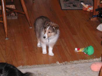 cooper_inside_3mos.04