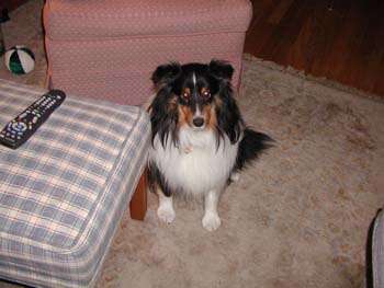 cooper_inside_3mos.05