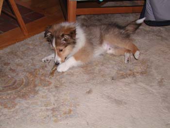 cooper_inside_3mos.11