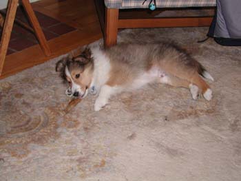 cooper_inside_3mos.13