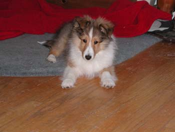 cooper_inside_3mos.17