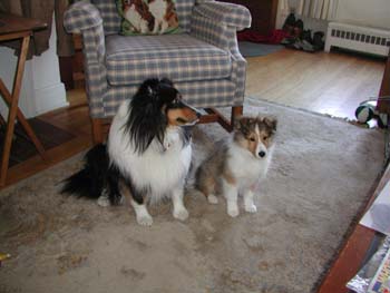 cooper_inside_3mos.18