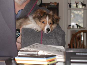 cooper_inside_3mos.20