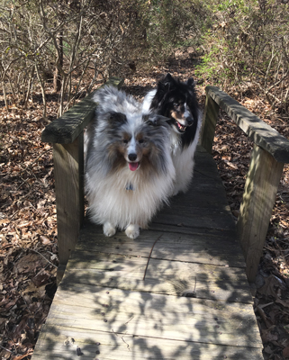 Griffin and Kenzie visit their godparents in Virginia
