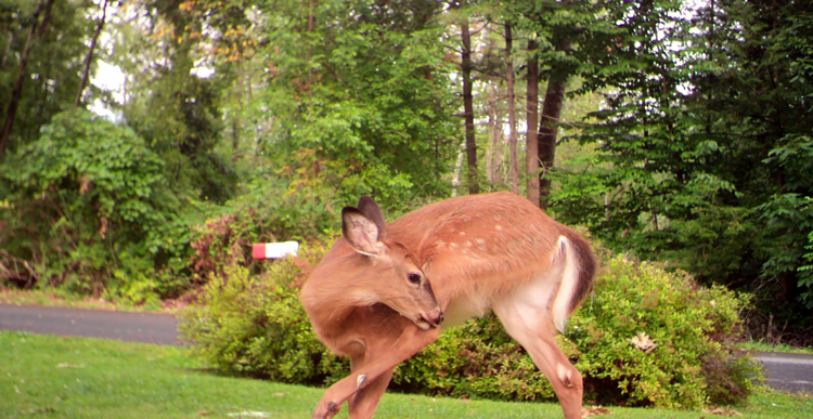 If You have an Itch...