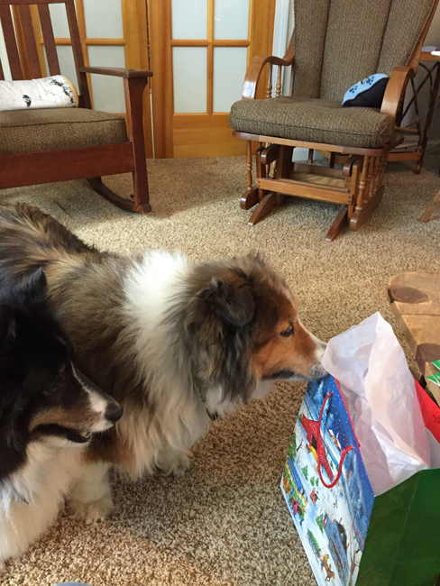 I'm Pretty Sure I Smell Something Good