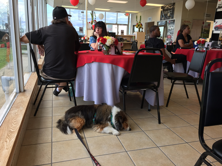 Car shopping is boring