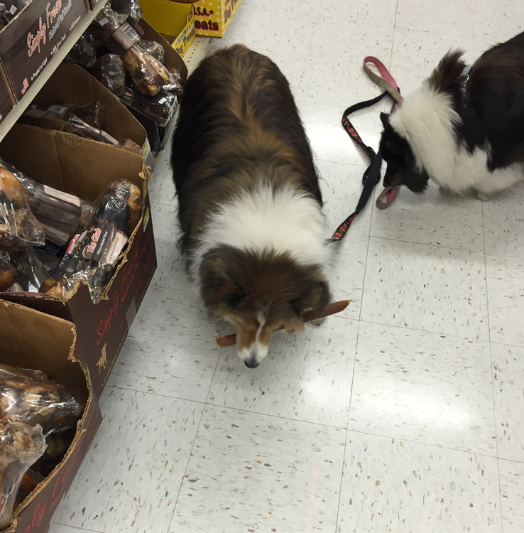 Even the Little One Gets Some