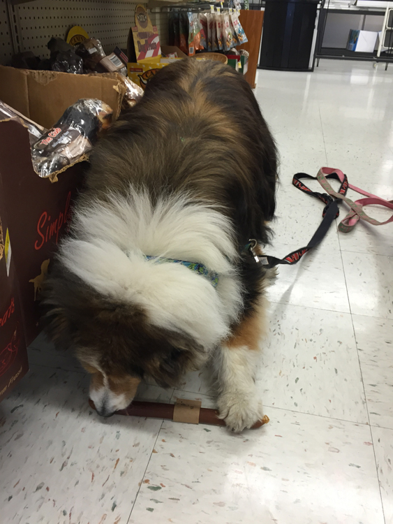 This is Pretty Good Too