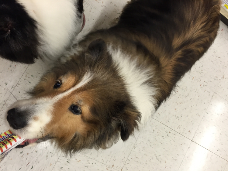 I'm Not Giving it Back