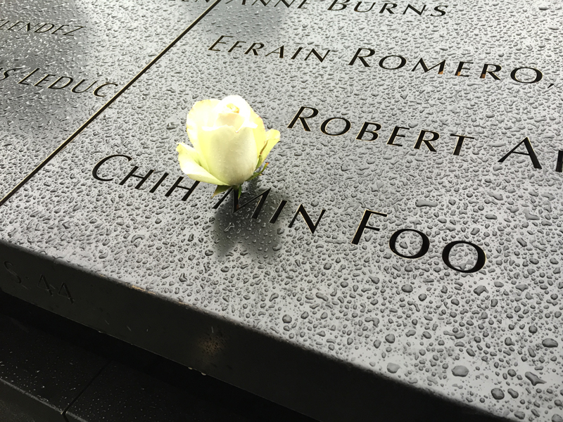 Roses Placed on Birthdays