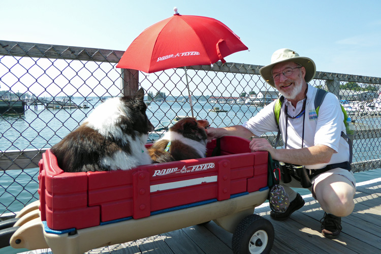 Enjoying their Stroll...the Easy Way