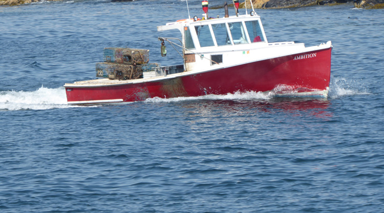 Working Lobster Boat