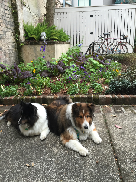 Enjoying the Courtyard