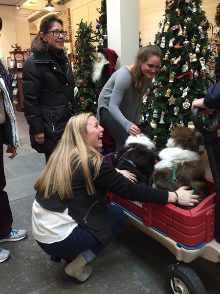 Forget Shopping...Cute Dogs in the Market