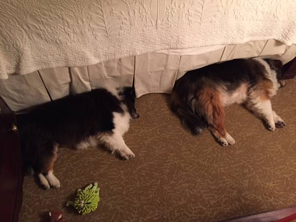 Synchronized Sleeping