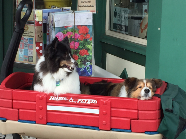 Shopping in Fernandina Beach